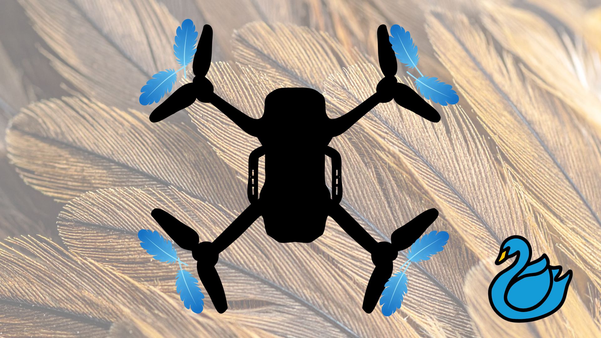 Bird-inspired, segmented 'feather' wings provide double the lift; could power future drones